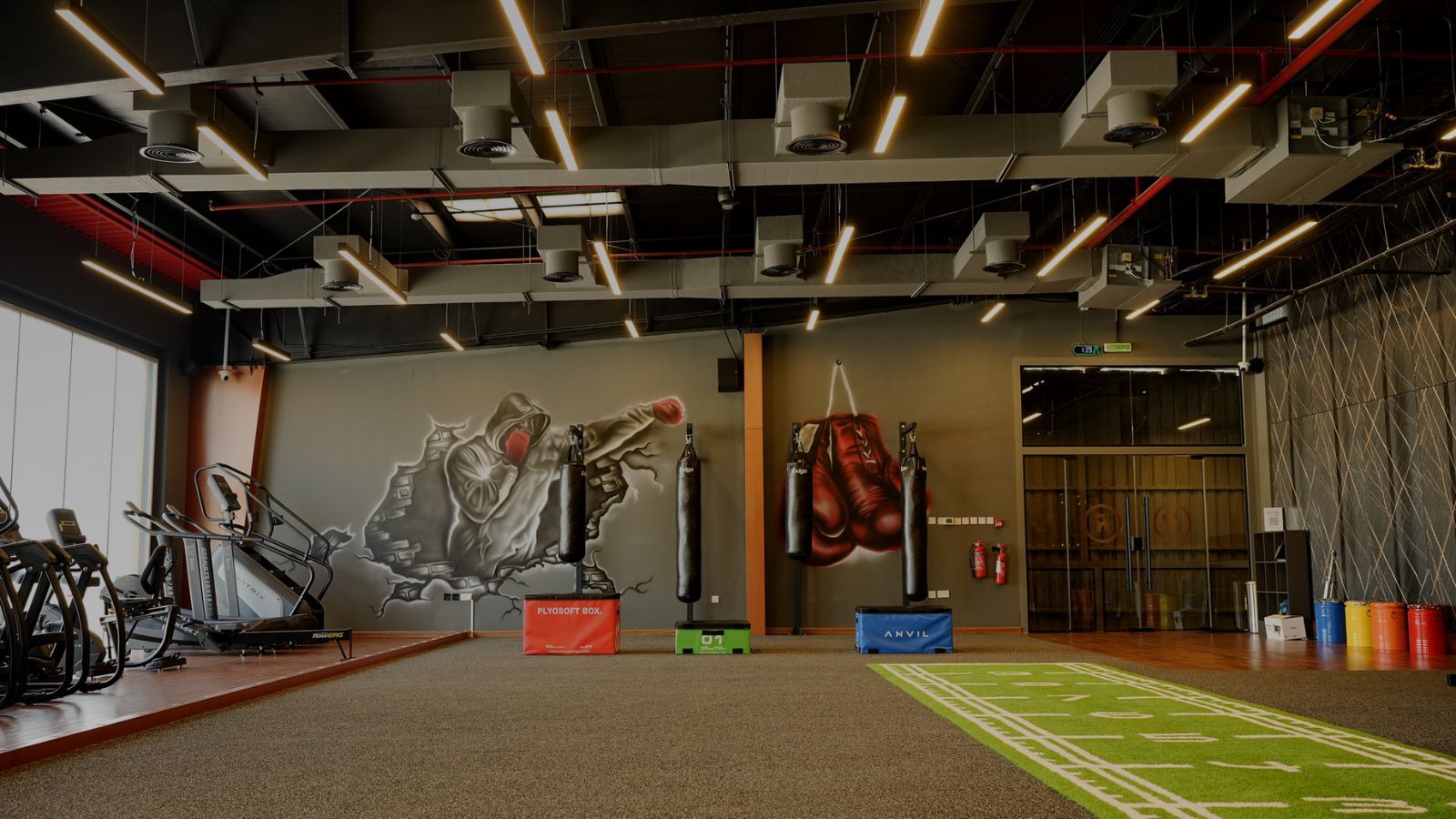 Boxing Arena